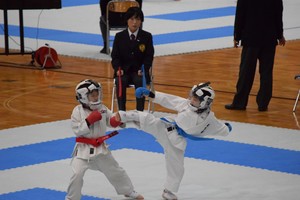 img_20180529-070910.jpg