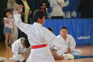 img_20180704-123829.jpg
