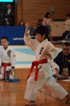 img_20181106-125300.jpg