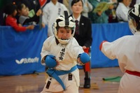 img_20181106-125914.jpg