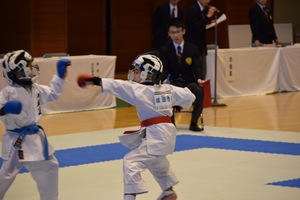 img_20181229-115355.jpg
