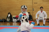 img_20190402-081518.jpg
