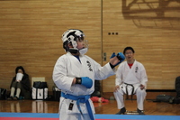 img_20190402-081558.jpg