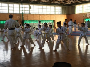 img_20190402-221634.jpg