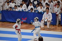 img_20190607-072745.jpg