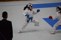 img_20190607-072909.jpg