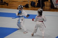 img_20190607-072922.jpg