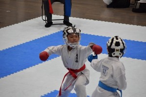 img_20190916-065034.jpg