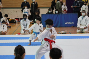 img_20230223-071843.jpg