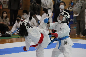img_20230223-072710.jpg