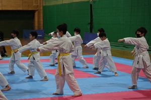 img_20230304-060024.jpg