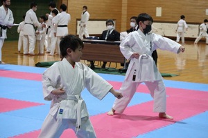 img_20230304-060312.jpg