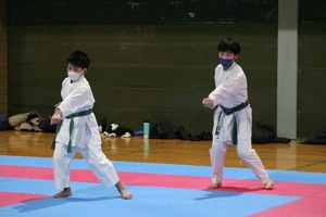 img_20230304-060335.jpg