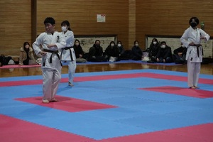 img_20230304-060741.jpg