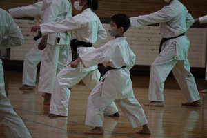 img_20230319-004428.jpg