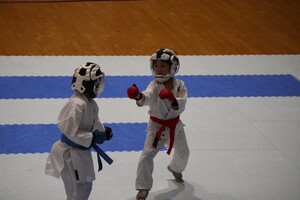 img_20231015-080352.jpg