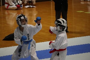 img_20231015-081305.jpg
