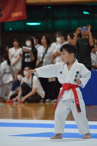 img_20240716-215250.jpg