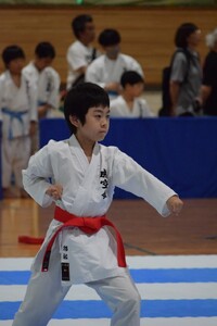 img_20240716-215638.jpg