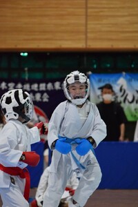 img_20240716-221120.jpg