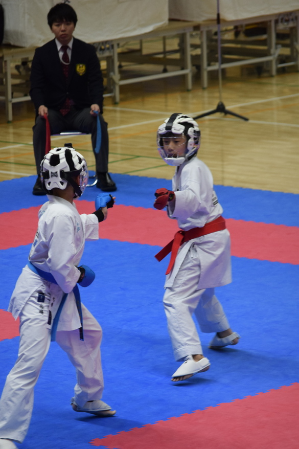 img_20260516-193856.jpg
