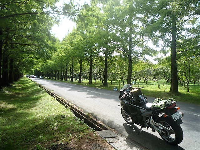 img_20171008-204802.jpg