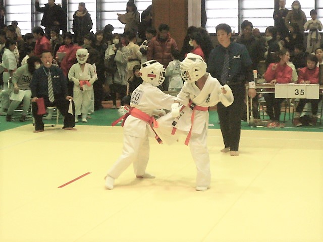 img_20180204-200745.jpg
