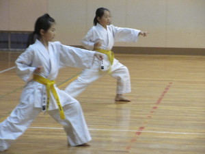 img_20200108-121245.jpg
