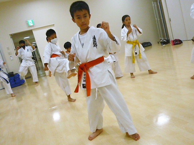 img_20201012-131925.jpg