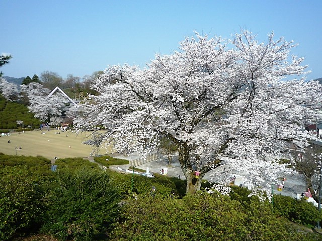 img_20220406-123153.jpg