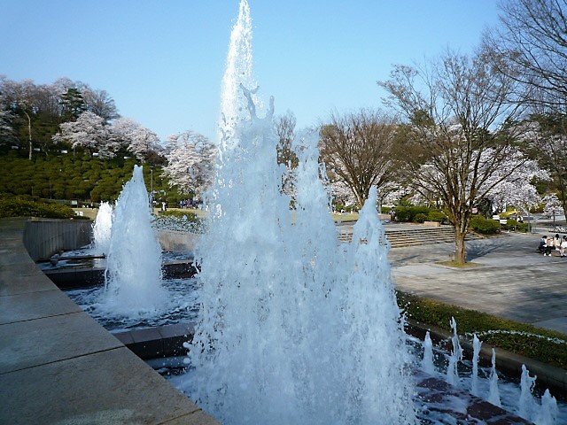 img_20220406-124606.jpg
