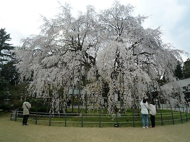 img_20220407-123434.jpg