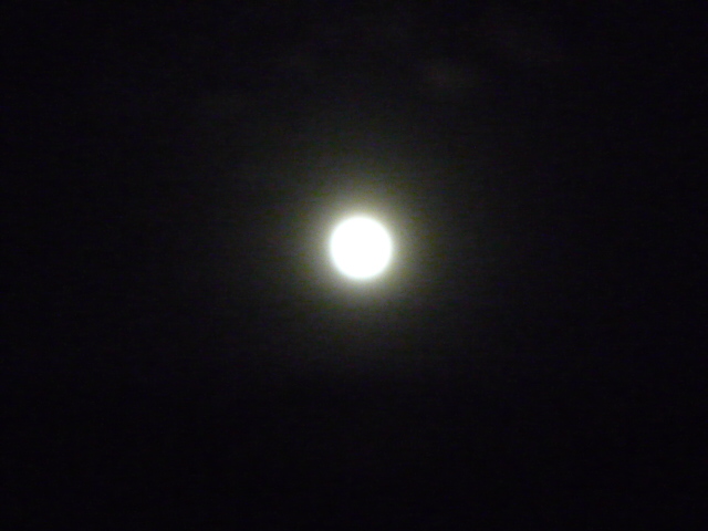 img_20220516-143936.jpg