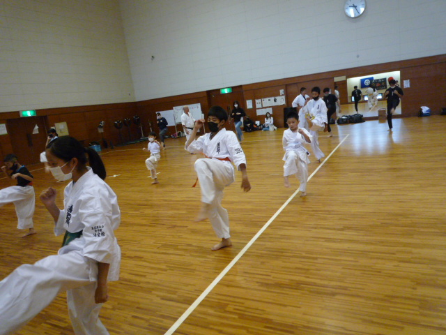 img_20221009-043343.jpg