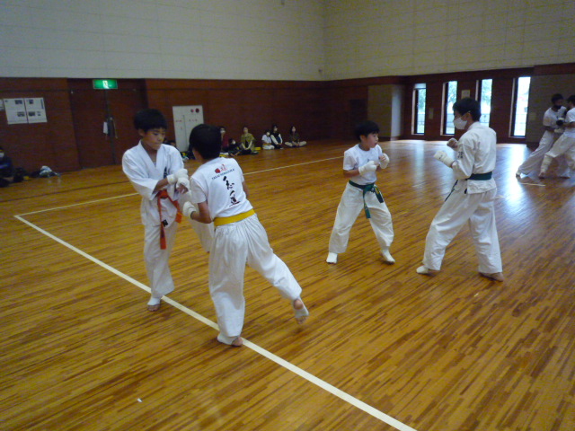 img_20221009-054731.jpg