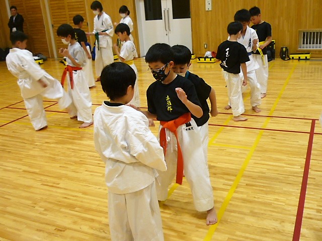 img_20230508-133607.jpg