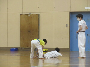 img_20230518-115330.jpg
