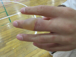 img_20230518-115859.jpg