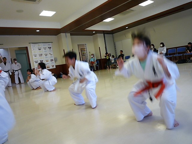 img_20230604-050210.jpg
