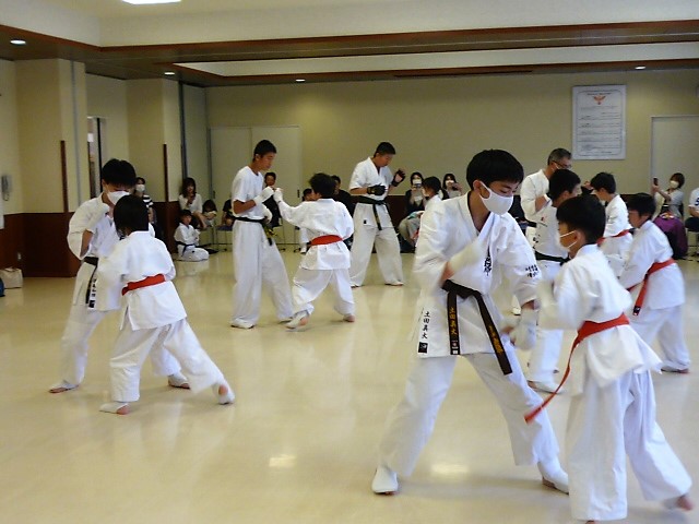 img_20230604-053340.jpg