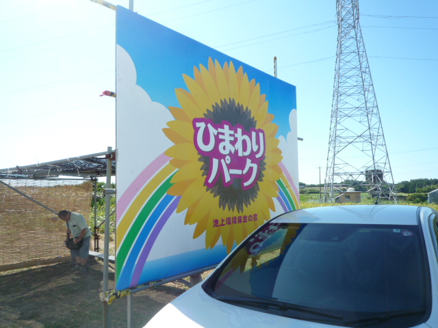 img_20230804-123600.jpg