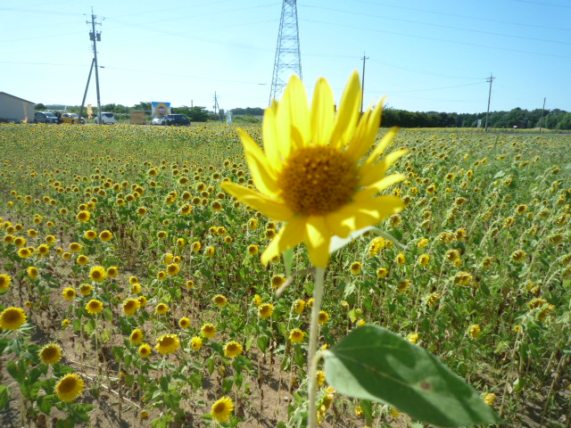 img_20230804-124202.jpg