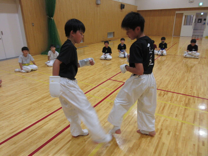 img_20240729-234535.jpg