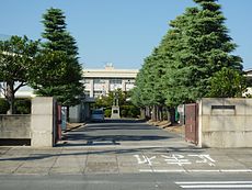 img_20151111-171446.jpg