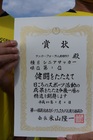 9,3スポフェス 9,3スポフェス