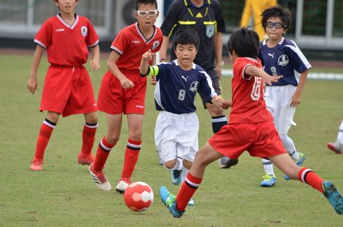 img_20190618-115146.jpg
