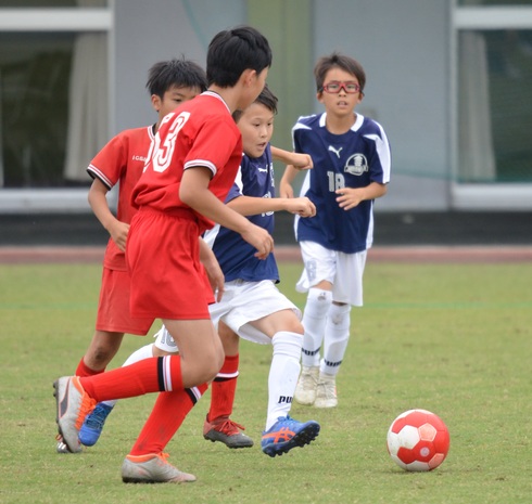 img_20190618-120255.jpg
