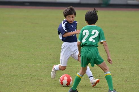 img_20190618-120545.jpg