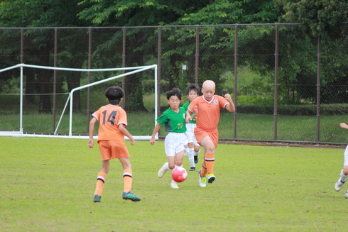img_20190621-134249.jpg