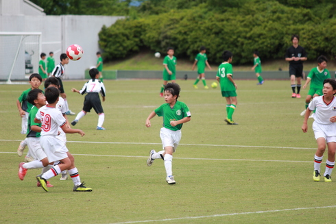 img_20190621-140911.jpg